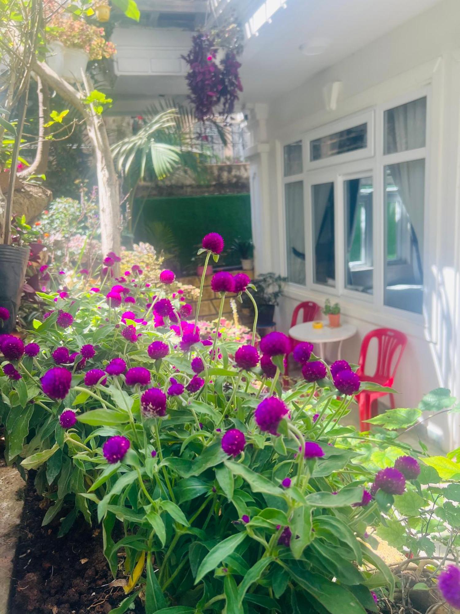 Villa - Hotel Nam Khang 2 Dalat מראה חיצוני תמונה