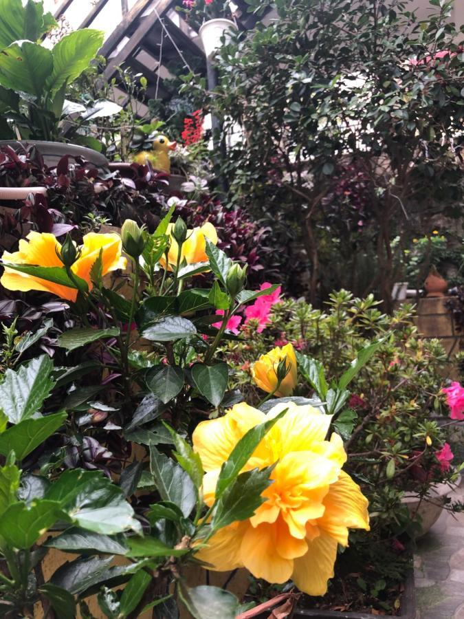Villa - Hotel Nam Khang 2 Dalat מראה חיצוני תמונה